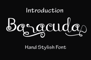 Baraccuda Typeface Review for Small Business Branding