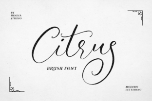 Citrus: A Handmade Script Font for Elegant Branding