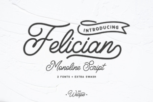 Felician: A Modern Script Font for Branding