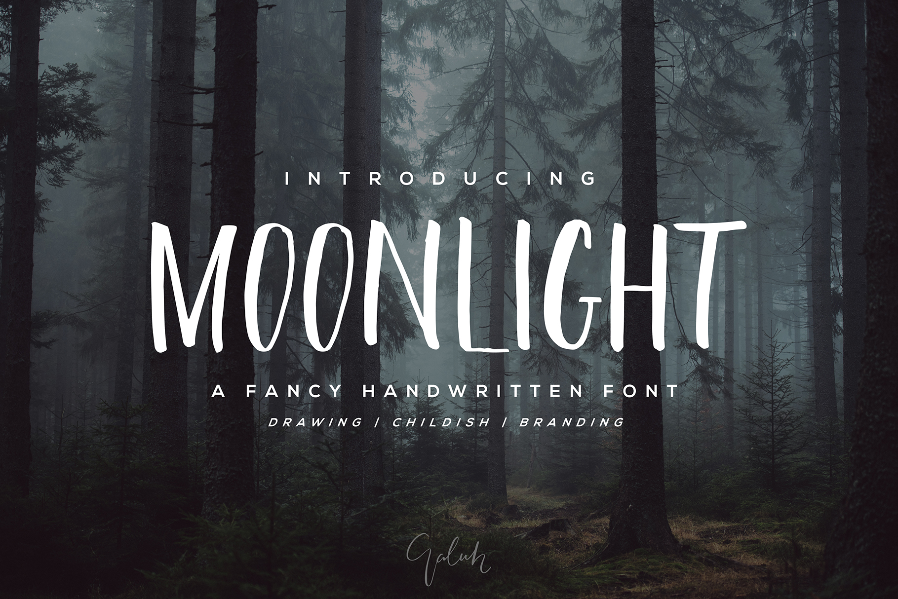 Moonlight Font Review: Elegant Script for Designers