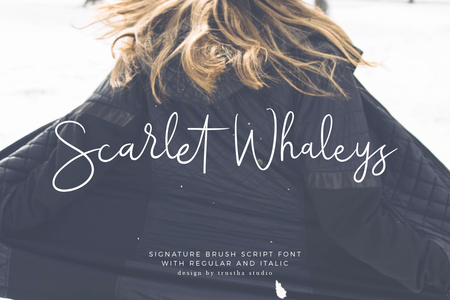 Scarlet Whaleys Font for High-Impact Digital Campaigns