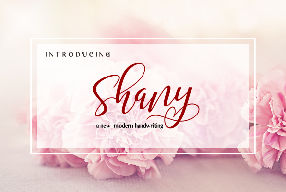 Shany Typeface Review for Modern Campaigns