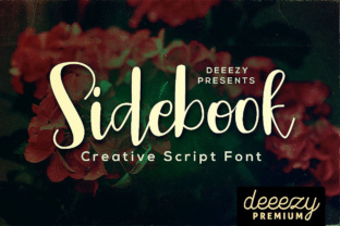 Sidebook Script: A Playful Typeface for Editors