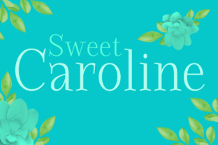 Sweet Caroline: A Rustic Serif Font for Makers